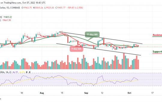 Bitcoin Price Prediction for Today, October 7: BTC Stumbles Again After Touching $20,065 Resistance
