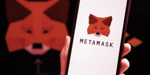 Infura to Collect MetaMask Users' IP, Ethereum Addresses After Privacy Policy Update