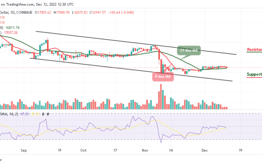 Bitcoin Price Prediction for Today, December 12: BTC/USD May Not Go Beyond $16,000 Support