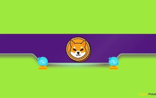 This Is How Shiba Inu (SHIB) Can Become The Largest Meme Coin in 2024